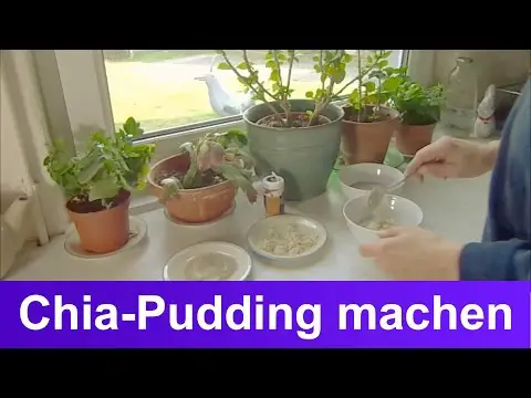 Chia-Pudding Rezept mit Mandeln &amp; Vanille selber machen
