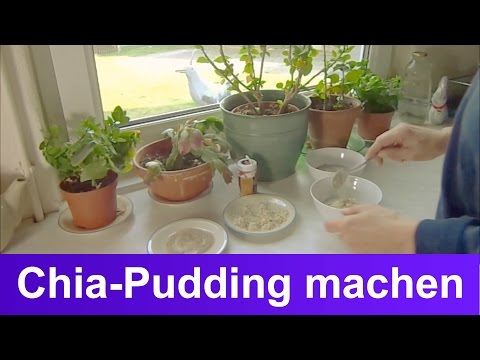 Chia-Pudding Rezept mit Mandeln &amp; Vanille selber machen