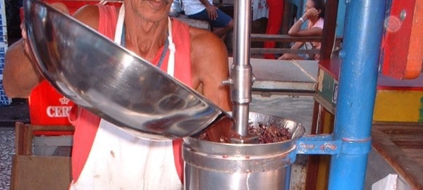 Acai Beere: Verarbeitung durch Verdünnung mit Wasser