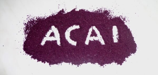 Acai Beere - Ernte und Verarbeitung