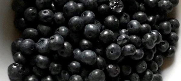 Heimische Superfoods: Blaubeeren