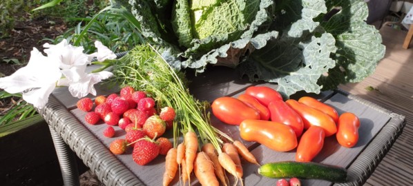 Obst und Gemüse aus heimischen Garten
