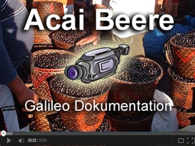 Acai Beere Dokumentation Galileo