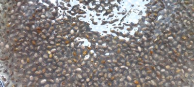 Chia Samen mit Omega 3 Fettsäuren
