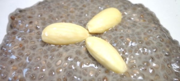 Chia Pudding selber machen mit Nüssen