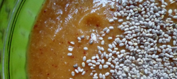 Chiasamen im Pudding mit Wasser wirken positiv auf die Verdauung