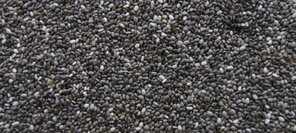 Anwendung von puren Chai Samen