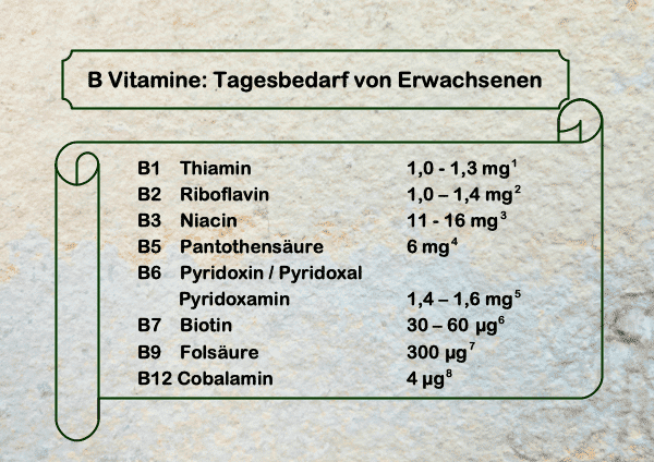 B Vitamine Tagesbedarf für Erwachsene