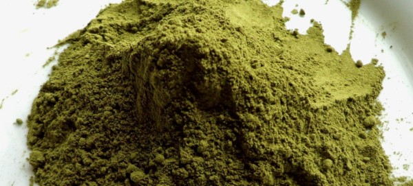 Moringa Pulver