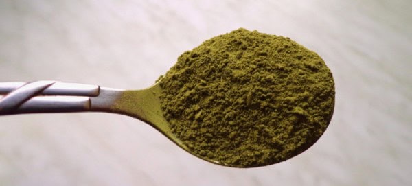 Moringa Pulver Inhaltsstoffe