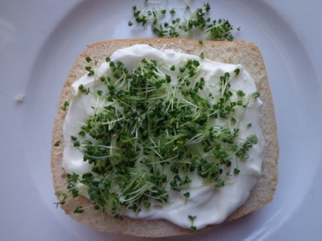 Brötchen mit Chiasprossen