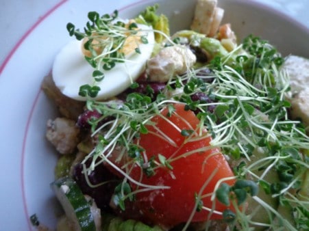 Bunter Salat mit Chia Sprossen