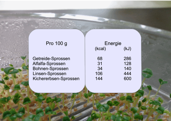 Energie-Tabelle - Sprossen helfen beim Abnehmen