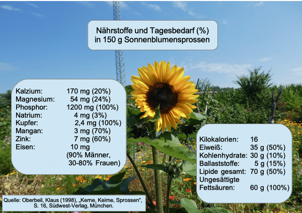 Nährstoffe und Tagesbedarf, am stellvertretenden Beispiel der Sonnenblumensprossen