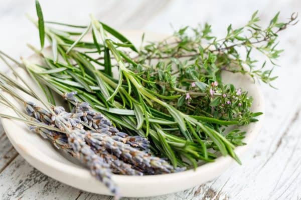 Kräuterblut mit frischen Kräutern