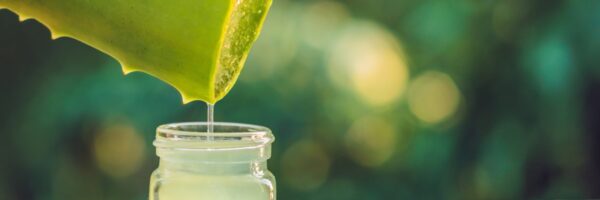 Aloe Vera Saft trinken - gut für die Gesundheit